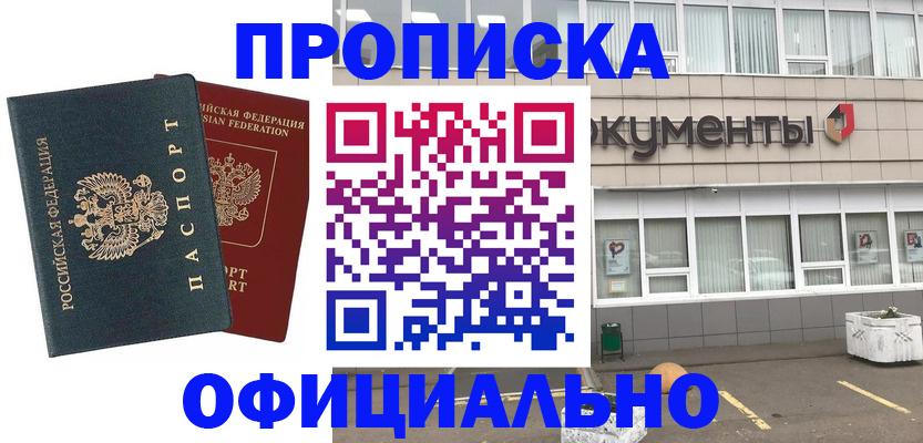 прописка поиск в Купино